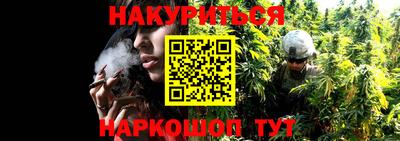 спиды Новодвинск