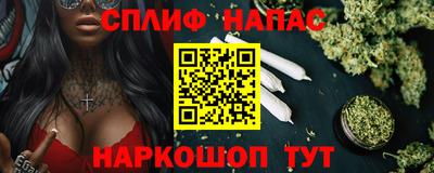 спиды Новодвинск