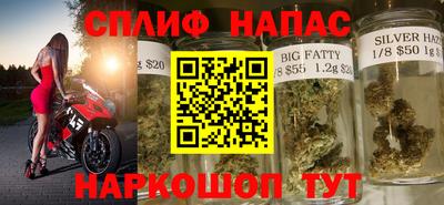 спиды Новодвинск