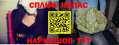 индика Обь