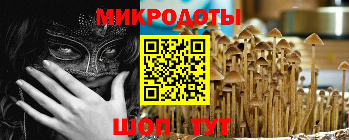 Россошь  продажа наркотиков  Вход с VPN  Псилоцибиновые грибы мицелий 